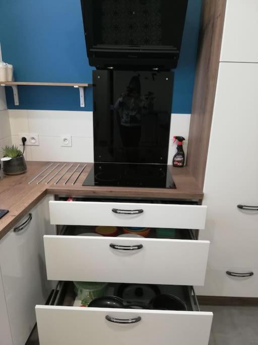 Bel Appartement Coeur De Grenoble Tout Equipe 外观 照片